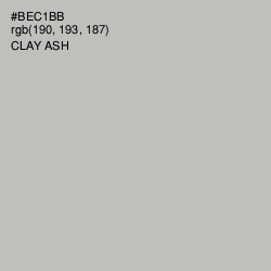 #BEC1BB - Clay Ash Color Image